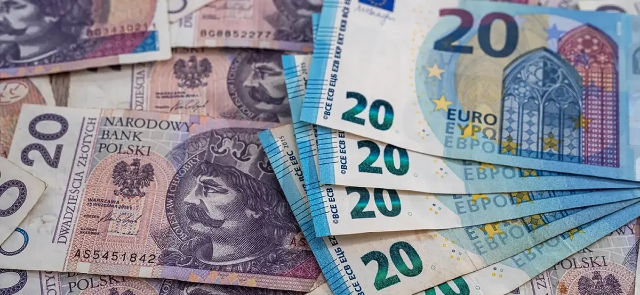Opcje płatnicze w PLN i EUR